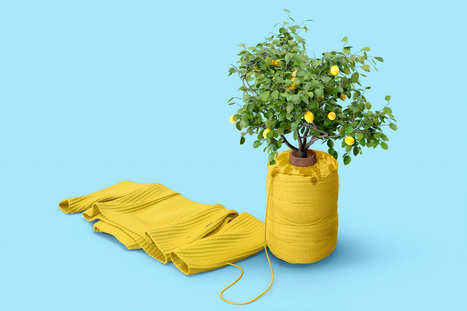 Fashion & Sustainability