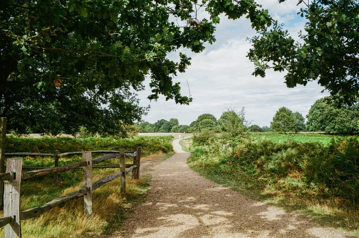 The best London hiking routes and what to take with you